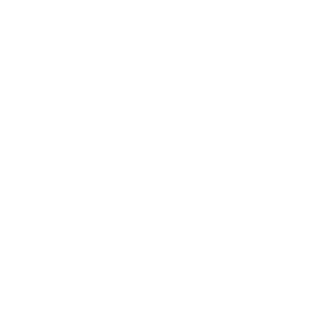 Cycloon logo - wit