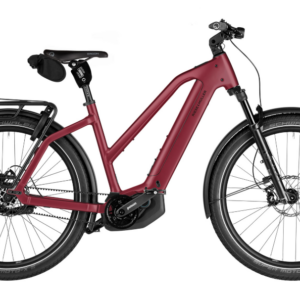Riese & Müller Charger5 Mixte Pinion E1.12 maat 49